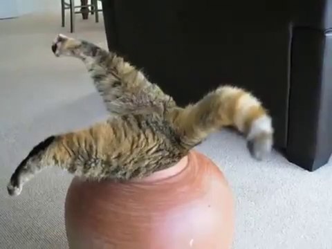 소라카지노 ＬＩＫＥ４１５.ＣＯＭ 소라카지노