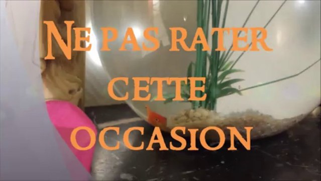 Inscriptions Terre Sainte 2014 - Diocèse de Moulins