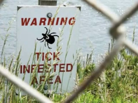 Workers Comp Attorney Woodlawn, MD | Baltimore County Attorney