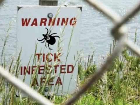 Workers Comp Attorney Dundalk, MD | Baltimore County Attorney