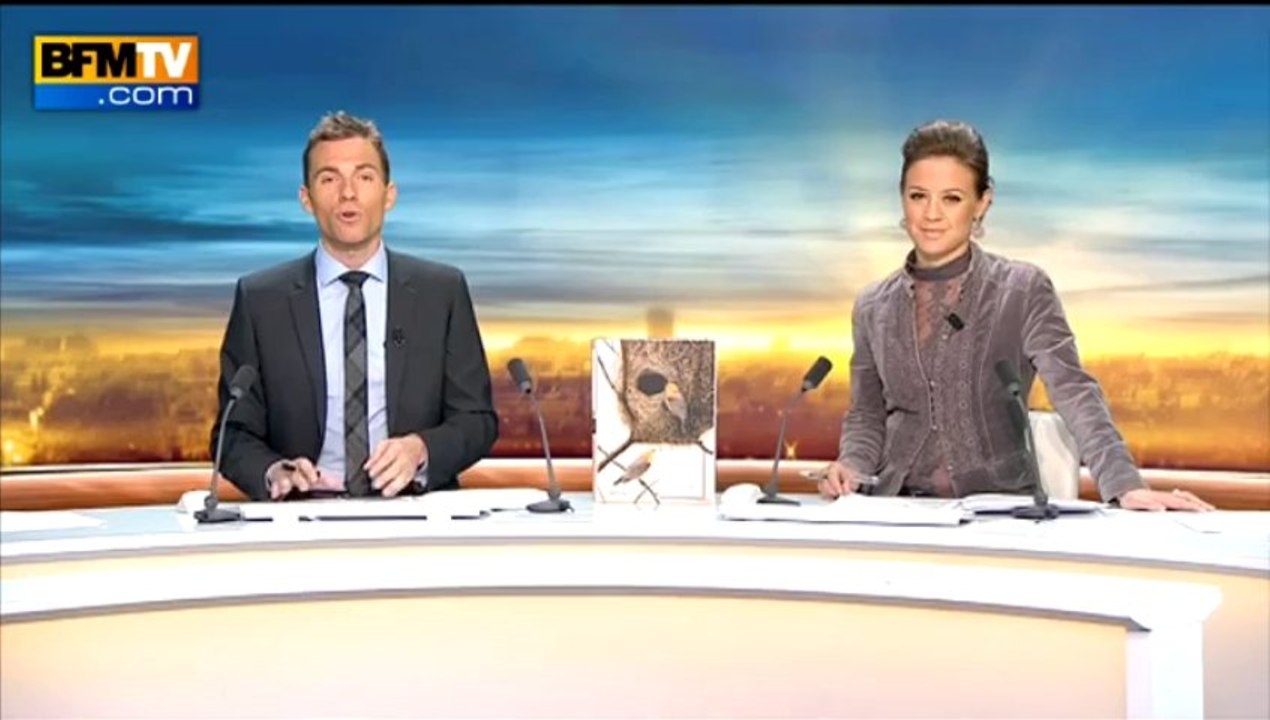 Coup de cœur: un voyage au pays des oiseaux avec les "Carnets secrets d'un ornithologue" - 15/11