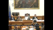 Roma - Audizione rappresentanti SOSE (13.11.13)