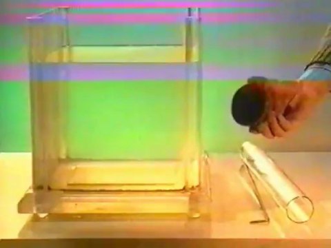 Присасывание тела ко дну сосуда