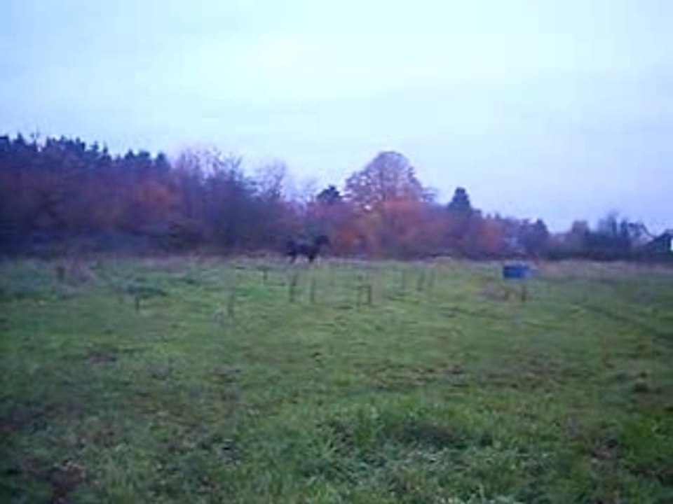 PICT0032