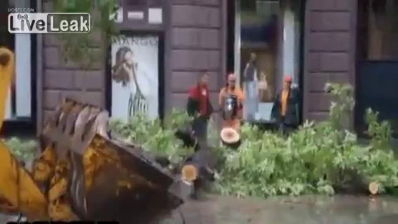 Tree nearly crushes woman