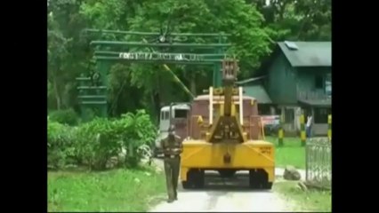 Un accident peu banal: 7 éléphants tués par un train et 10 autres blessés