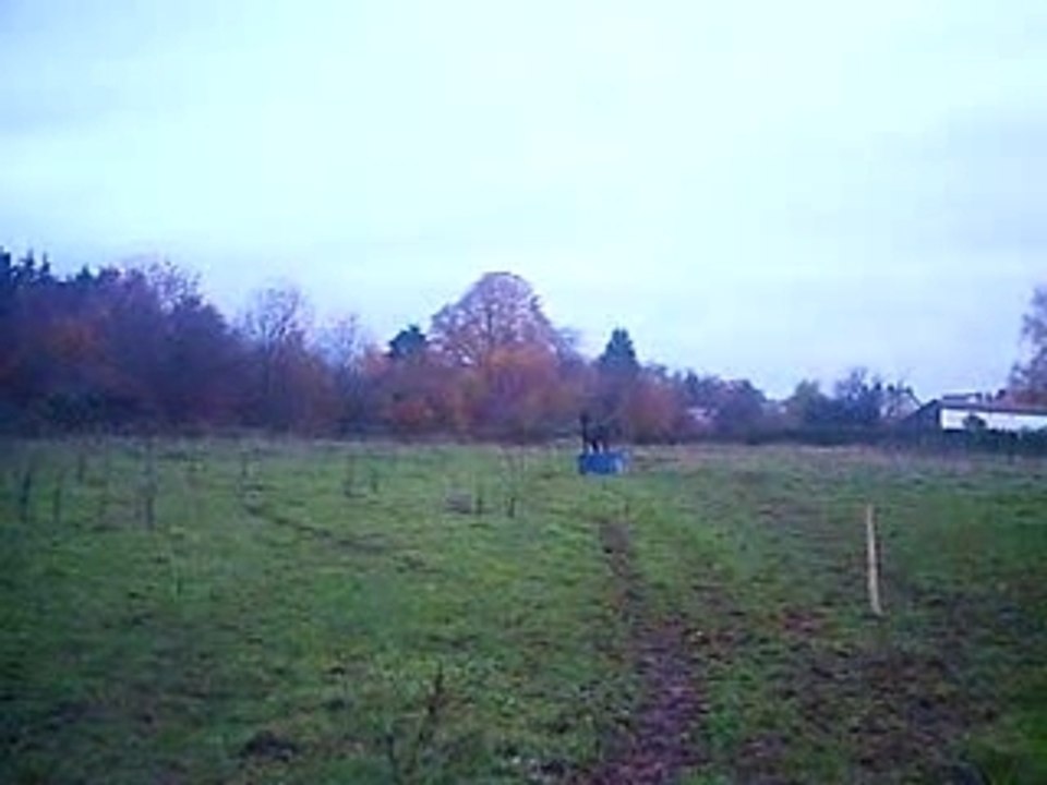 PICT0033