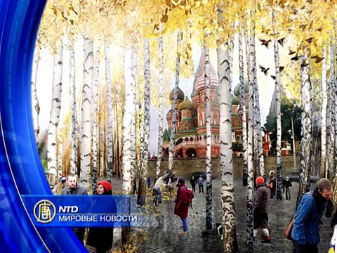 Обзор мировых событий (с 10 по 14 ноября)