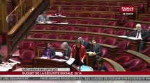 En Séance - Suite du projet de loi de financement de la sécurité sociale pour 2014