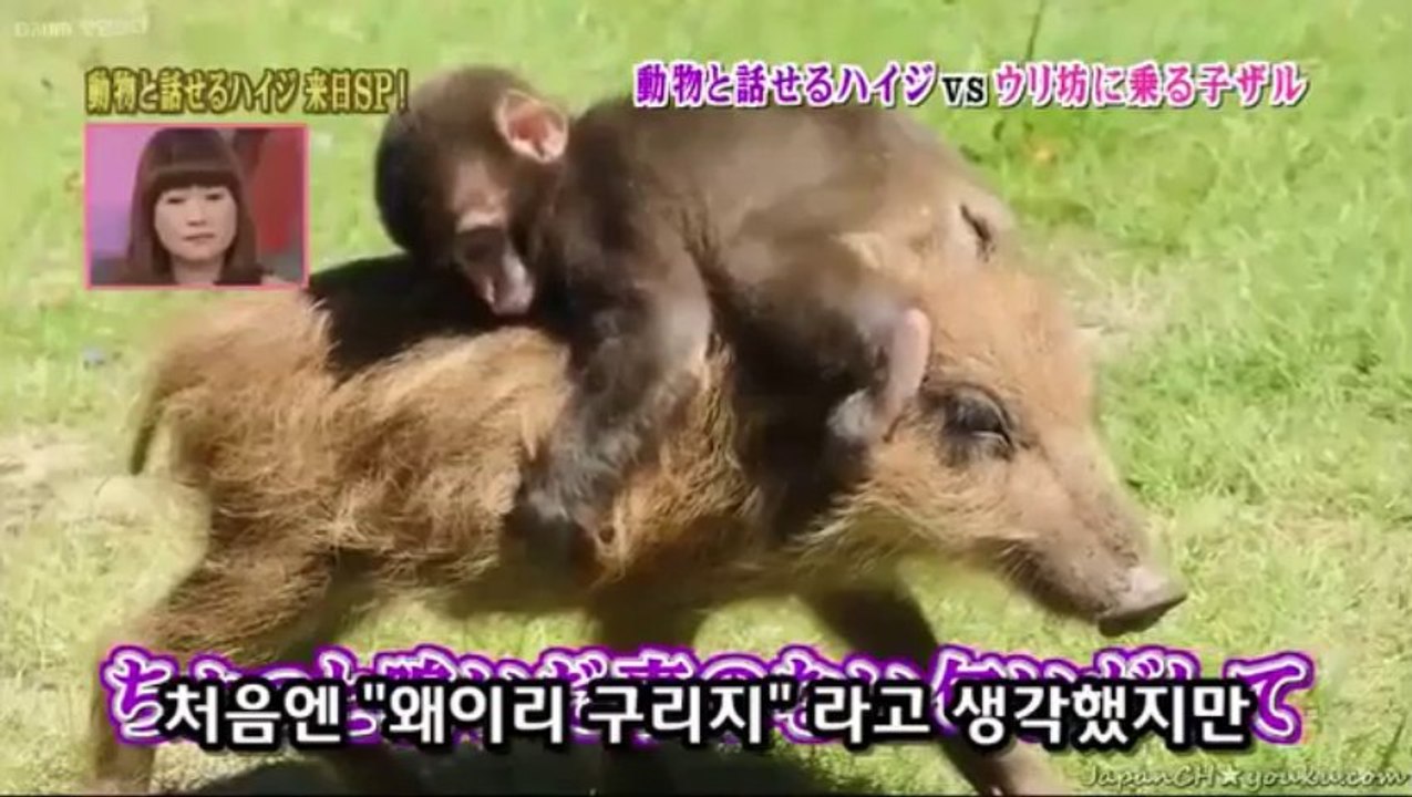 하이디 - 미와 & 우리보