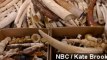U.S. Destroys 6 Tons Of Confiscated Ivory