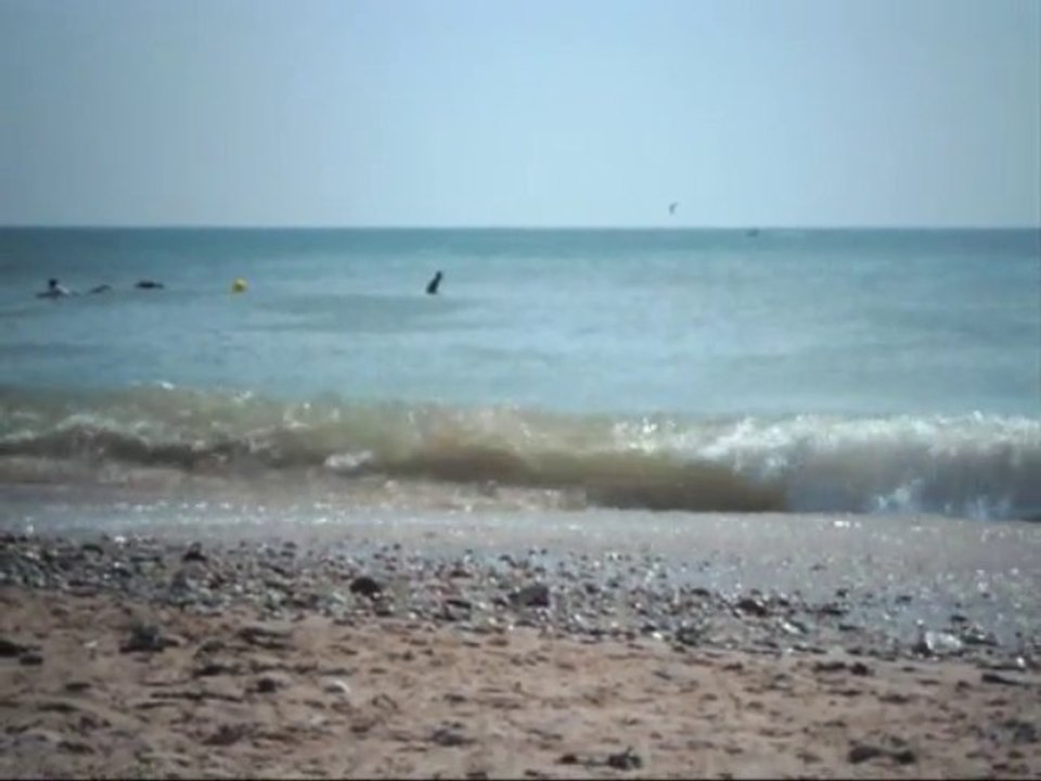 Brétignolles sur Mer : Plage