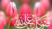 Hazrat Zainat ka Karbala men Hazrat Muhammad S.A.W ko pukarna by Maulana Tariq Jameel