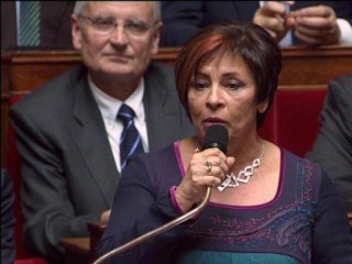 L'UMP Marie-Christine Dalloz confond "Navire ivre" et "Bateau ivre" de Rimbaud - 19/11