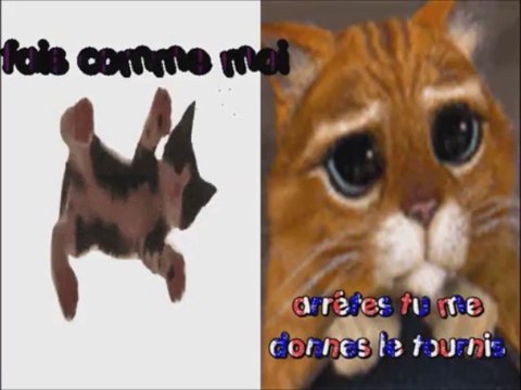 Chats alors 3(Musique Dis lui à la guitare)