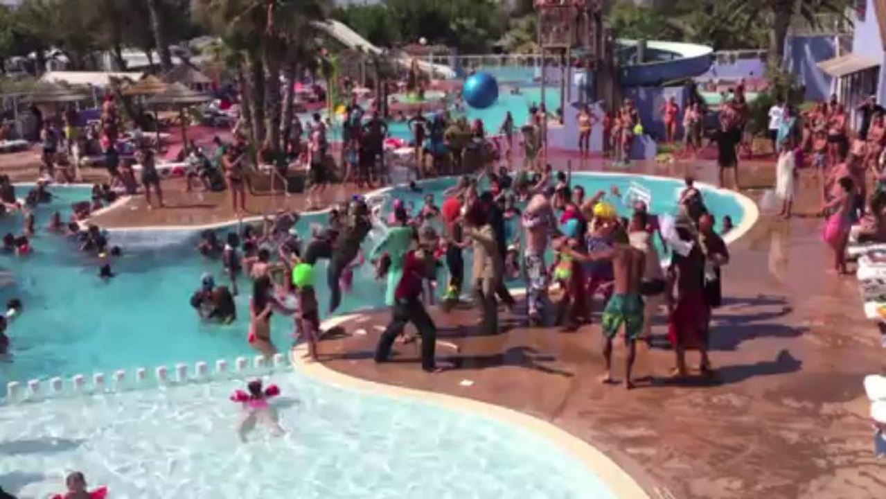 HaHarlem Shake