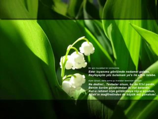 Abdubasıt Muhammed Abdussamed - Kıyamet Suresi