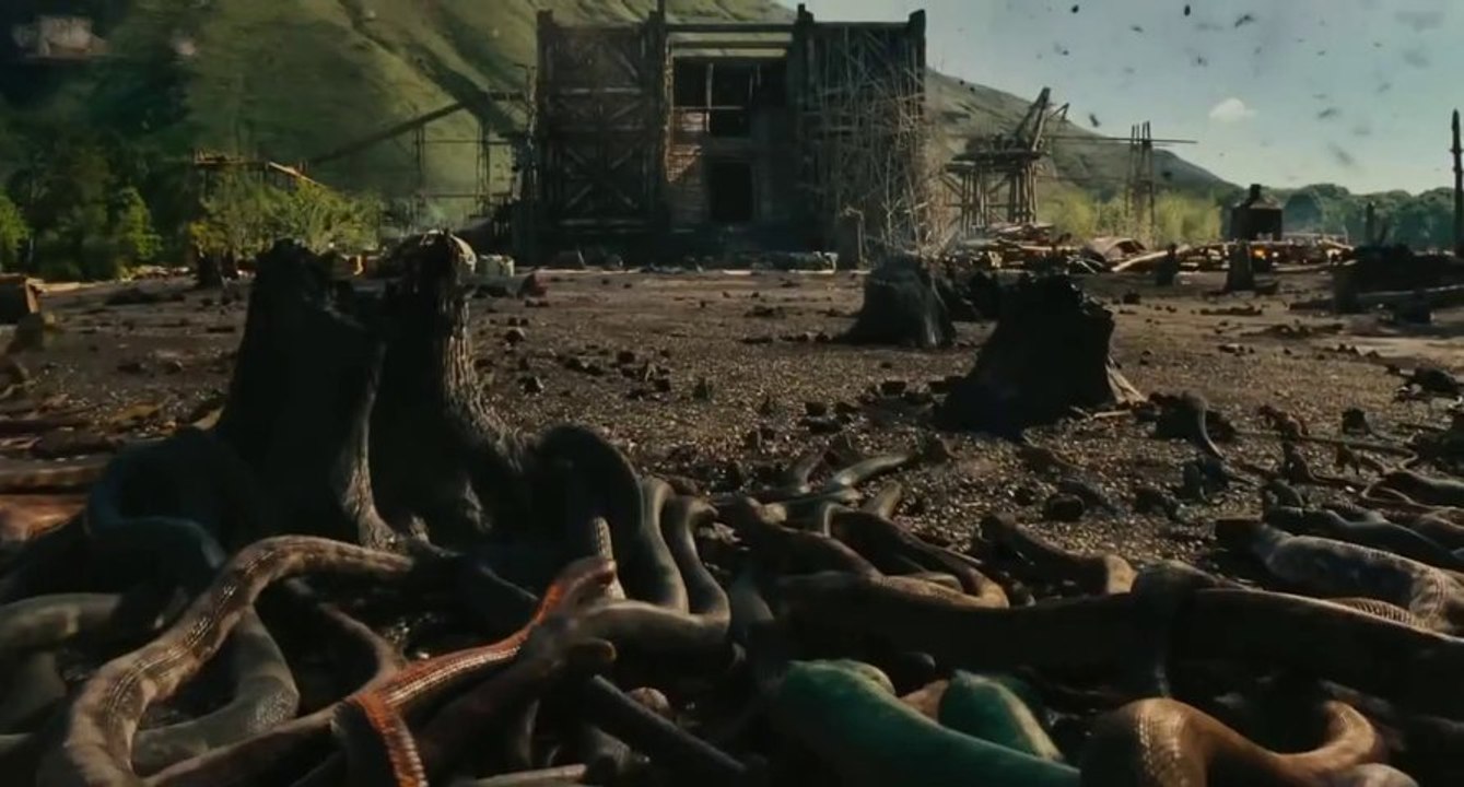 Noah