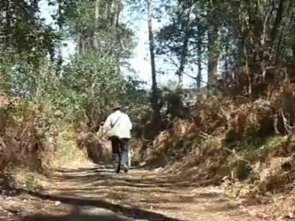 recherche utilitaire avec KAZAKH en  2010