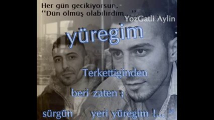 FERMAN - çilgin Sevdam 2013 Demo