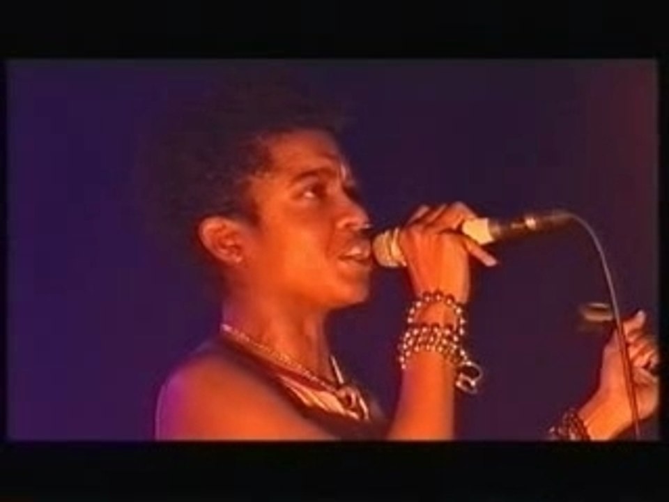 Zenzile - Smell The Roses