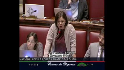 Roma - Camera - 17° Legislatura - 118° seduta (14.11.13)