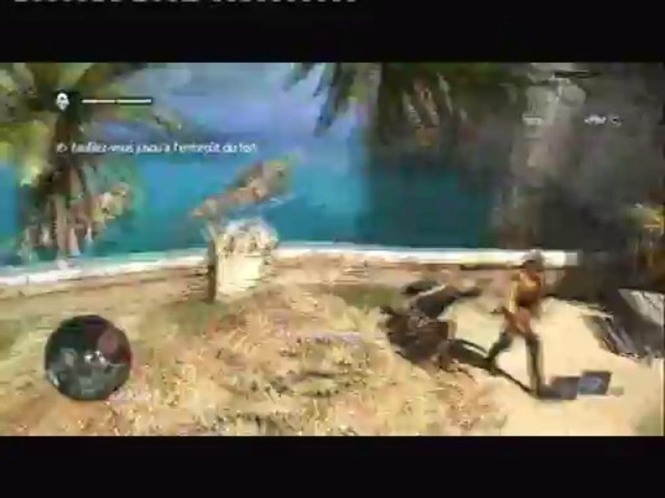Assassin's creed IV. 8