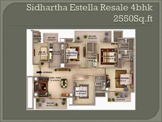 SIDHARTHA ESTELLA RESALE 8800654747