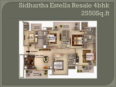 SIDHARTHA ESTELLA Available all sizes in resale 8800654747