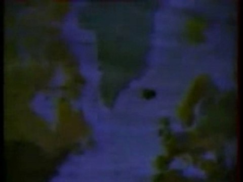 Assassin - Shoota Babylone