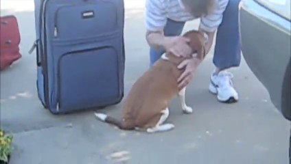 Dog crying because he i so happy! CUTE...