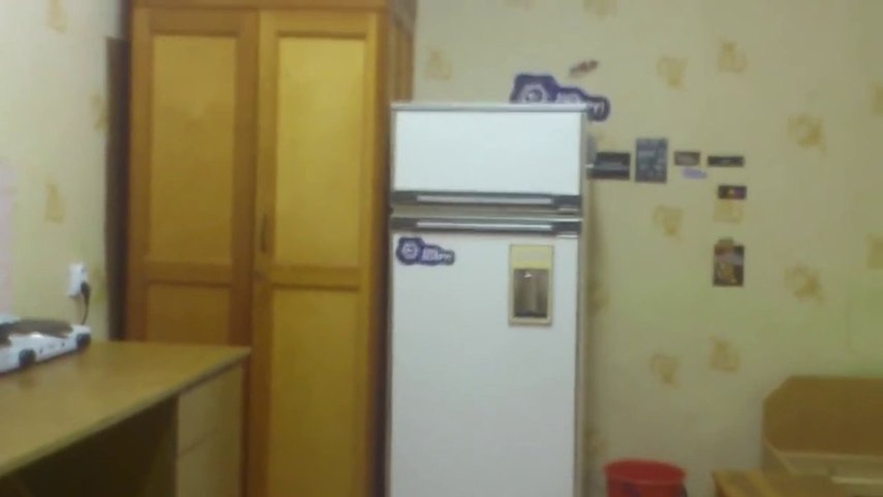 Des pétards dans le frigo! Le congélateur explosé!