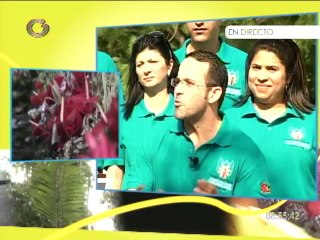 Vicente Izarra, encargado de la decoración de la virgen de la Chiquinquirá