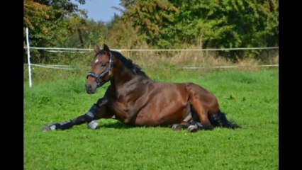 Notre Parcours en Diaporama 📸