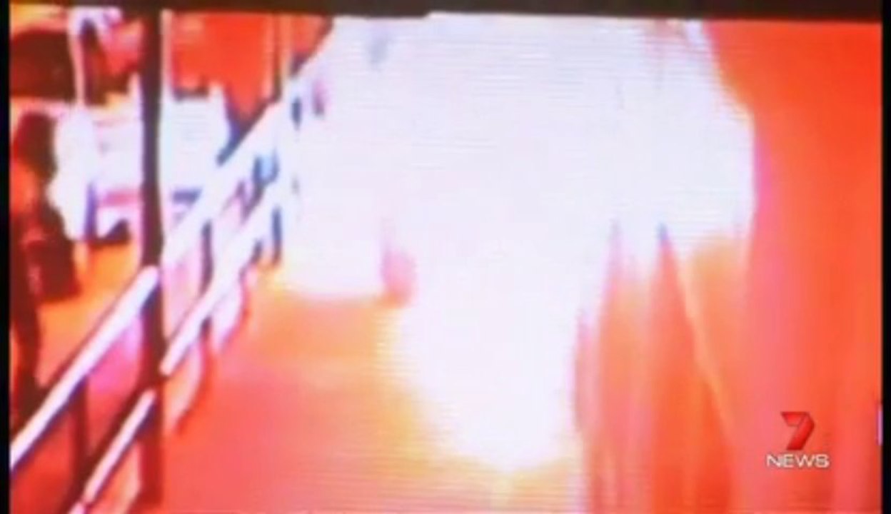 Dumbest Thiefs EVER!!!!