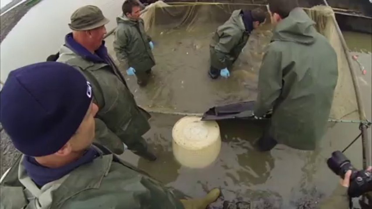 La Grande Pêche au Domaine de Lindre 2013