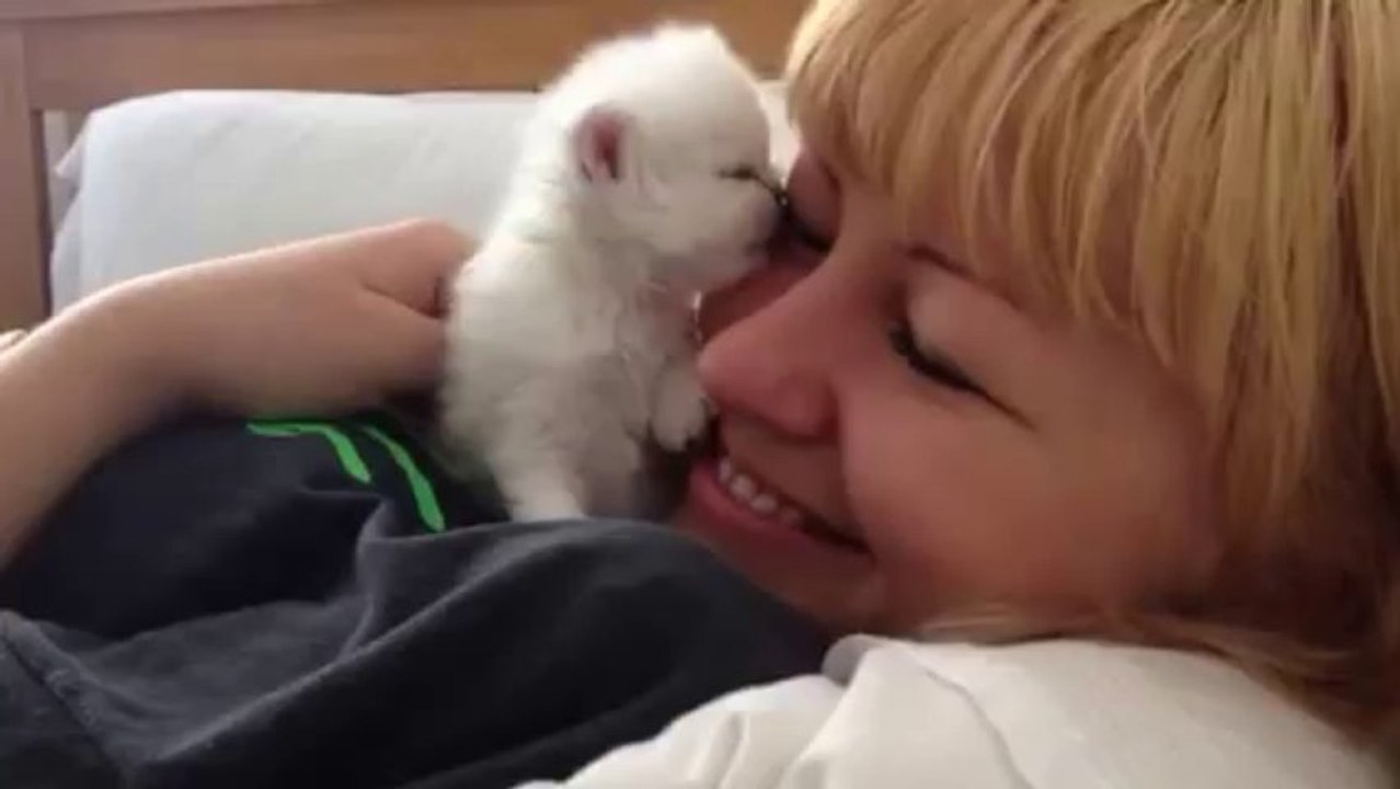 Miracle kitten loves to kiss owner's face