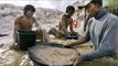 Small-scale gold mining exposes thousands to mercury poisoning