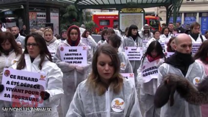 Happening anti fourrure spécial contre Kookaï (16.11.2013)