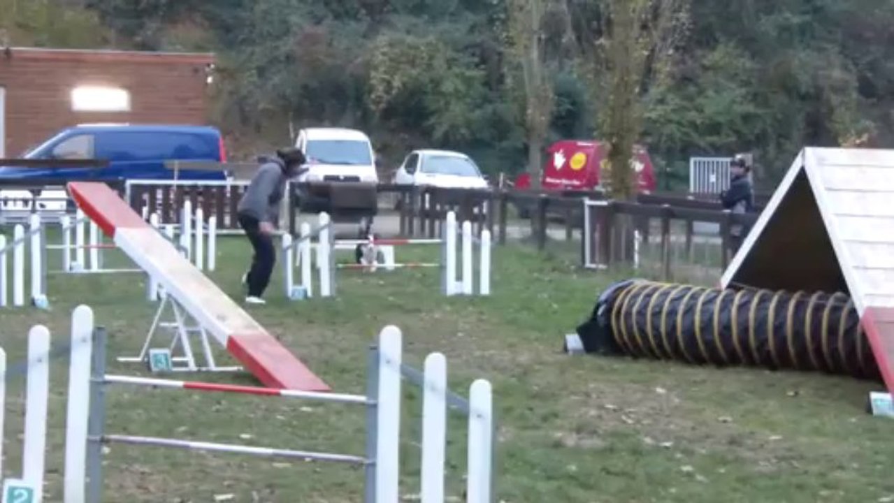 Clélia Agility 1 161113