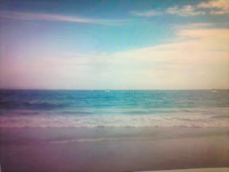 norte da ilha de santa catarina    florianopolis