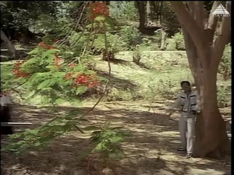 Naane Raja Naane Manthiri (1985) - Mayanginaen