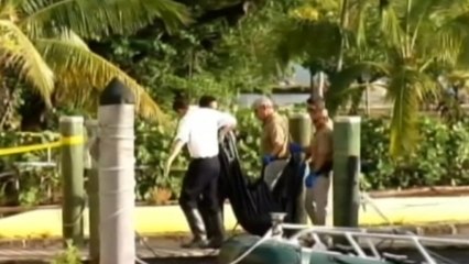 Body of man who plunged from plane likely found