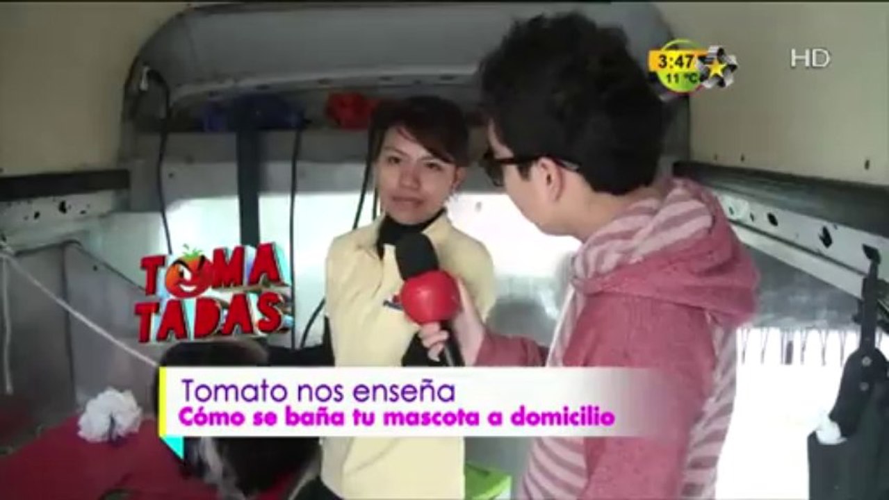 Tomatada (Bañando a tu mascota)