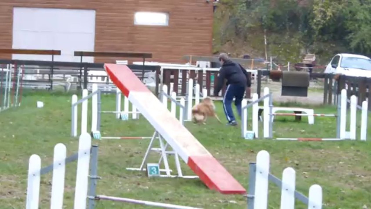 Corentin et Ginger 16 11 13