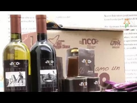 Napoli - Un pacco alla camorra , presentazione al Madre -1- (16.11.13)