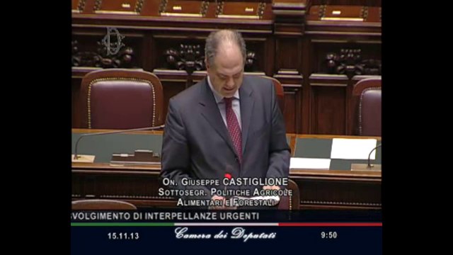 Roma - Camera - 17° Legislatura - 119° seduta (15.11.13)