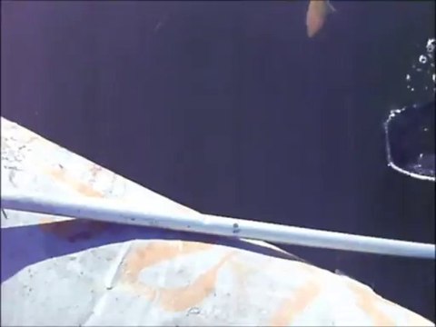 Bilent Yıldırım Sazan avı 5 (carp fishing)