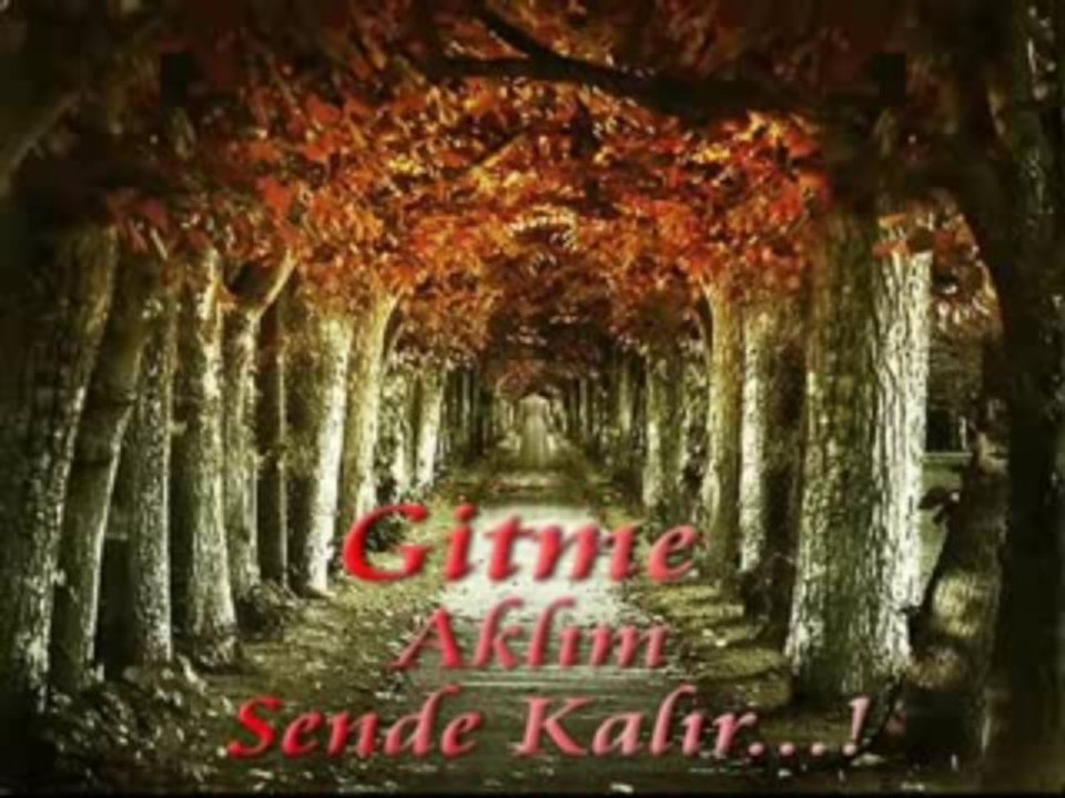 Niran Ünsal Helal Et Hakkını Zorlu Sevdam_ video Dailymotion