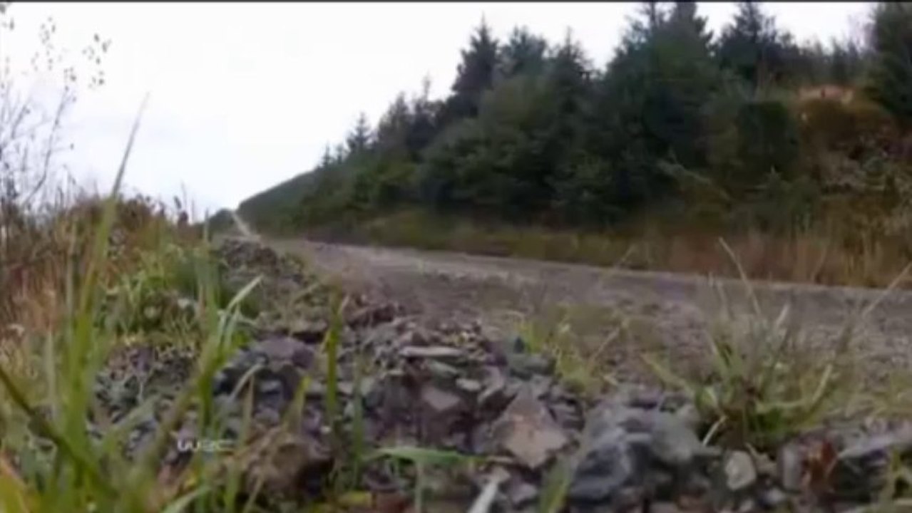 WRC: Kubica verschwindet erneut im Graben